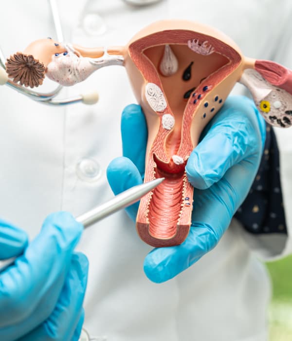 Программа лечения гинекологических заболеваний